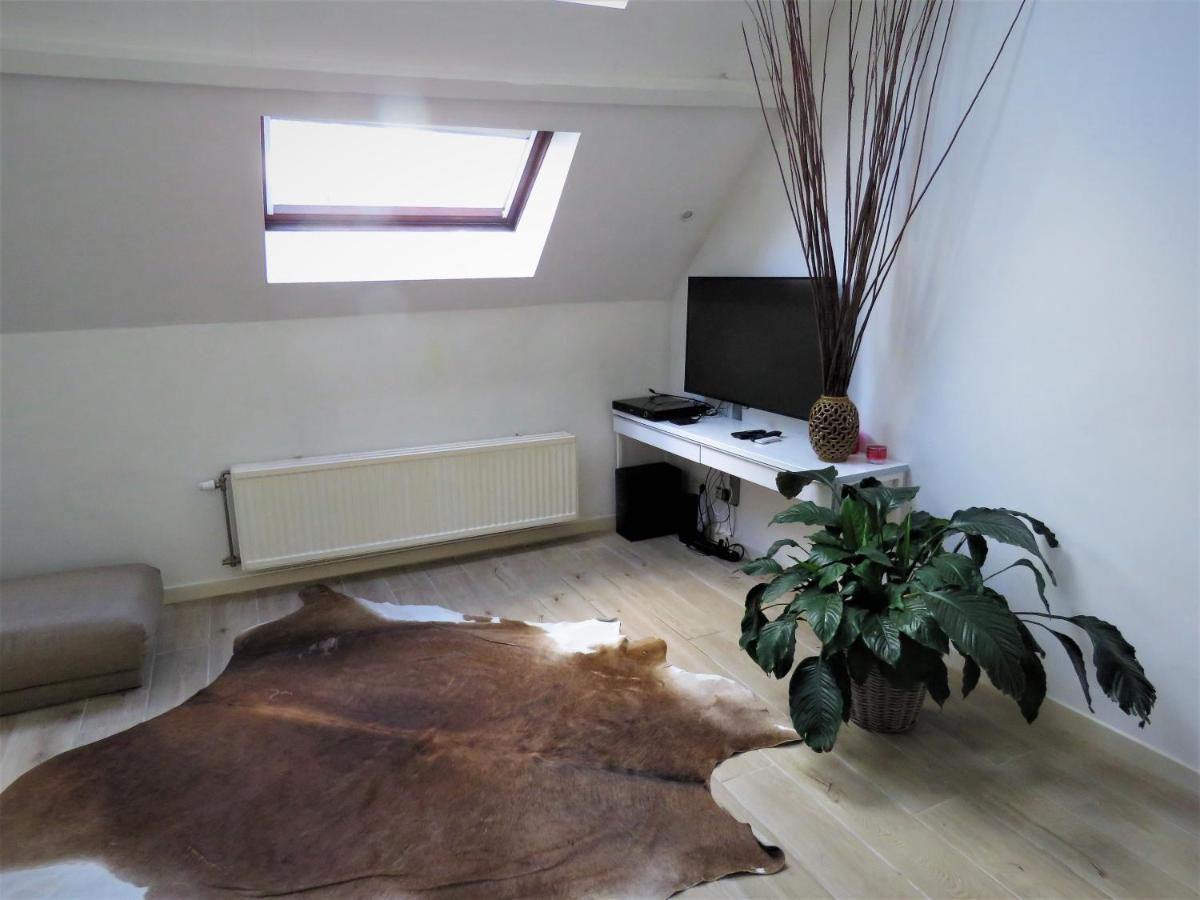 Einstein Apartment